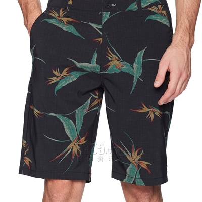 運動品牌-單褲-男運動沙灘褲