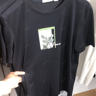 商場品牌-短袖-T恤【實拍】