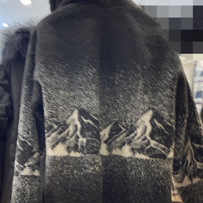 商場品牌-套頭-衛衣