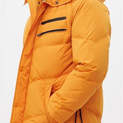 市場上裝-棉衣/羽絨服-商務棉服