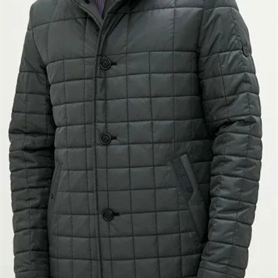 市場上裝-棉衣/羽絨服-商務棉服