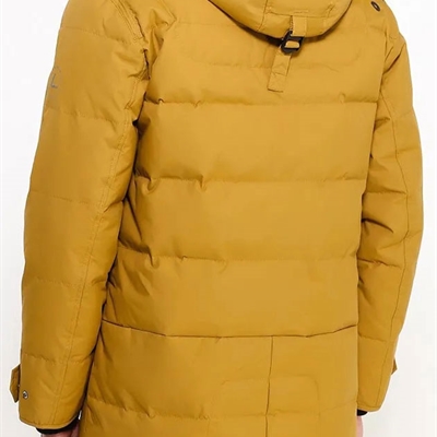 市場上裝-棉衣/羽絨服-商務棉服