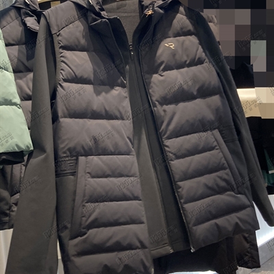 運動品牌-棉衣/羽絨-男運動棉服【實拍】