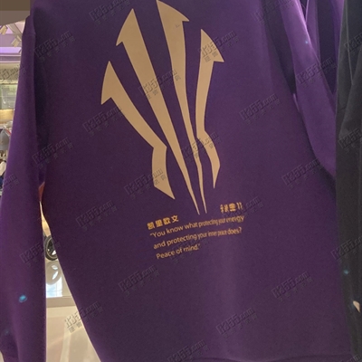 運(yùn)動(dòng)品牌-衛(wèi)衣-男運(yùn)動(dòng)衛(wèi)衣【實(shí)拍】