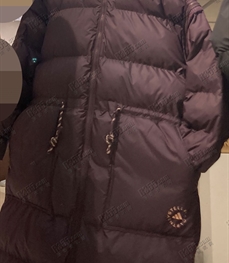 運動品牌-棉衣/羽絨-女運動棉服【實拍】