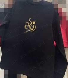 商場品牌-套頭-衛(wèi)衣【實拍】